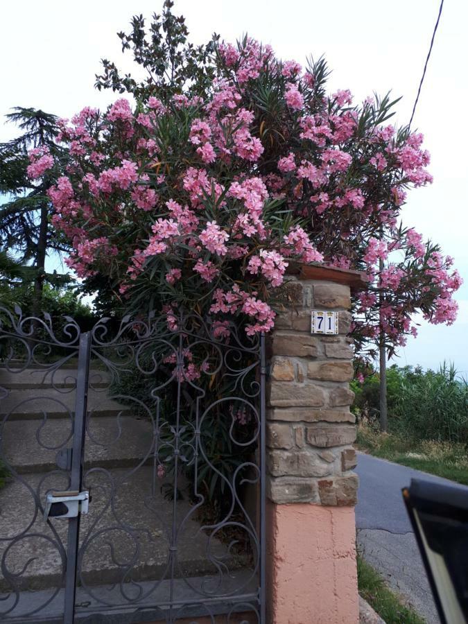 Holydays Home Little Frog Agliano Terme Exterior photo